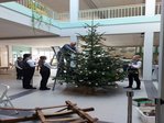 Christbaumdekoration